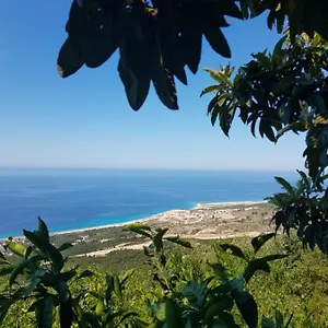 https://vila-jona-paljasa.albaniahotels.org