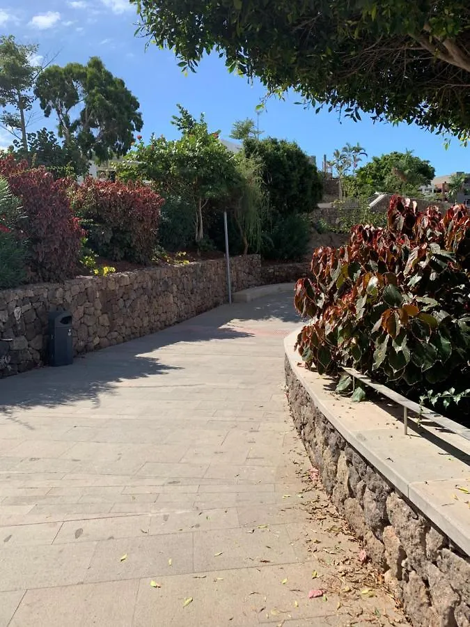 Διαμέρισμα Elena Studio Costa Adeje  Ισπανία