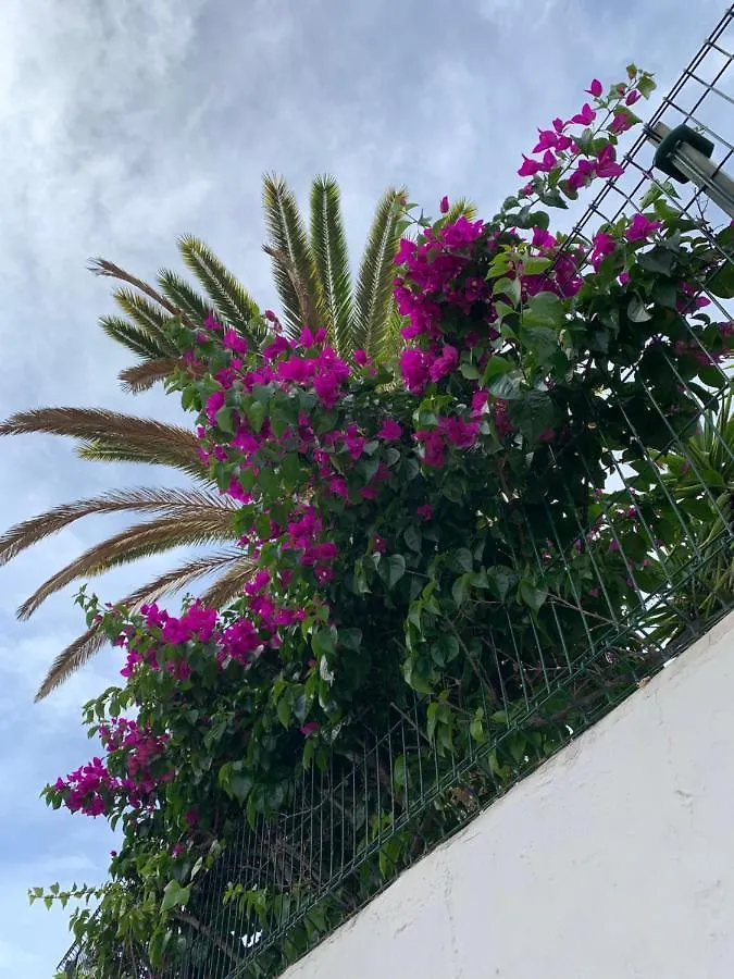 Elena Studio Costa Adeje