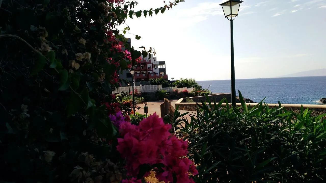 Elena Studio Costa Adeje  0*, Costa Adeje (Tenerife) Ισπανία